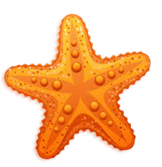 Star Fish - Background image
